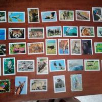 Set 38 figurine da collezione "WWF" - Coop 