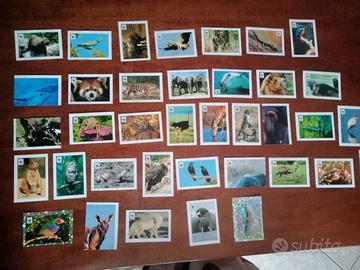 Set 38 figurine da collezione "WWF" - Coop 