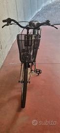 bici da passeggio 