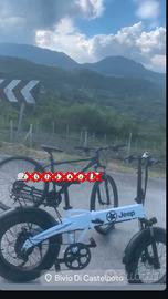 bicicletta elettrica 