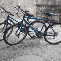 Biciclette da uomo e da donna
