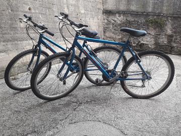 Biciclette da uomo e da donna