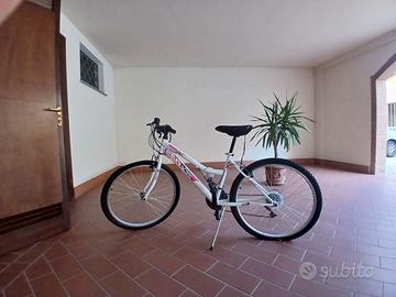 Mountain bike donna