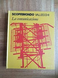 SCOPRIMONDO Vallecchi. La comunicazione