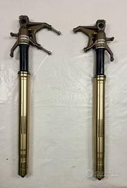 COPPIA FORCELLE FRONT FORK PER KAWASAKI NINJA ZX10