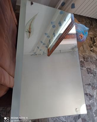 specchio 55*95