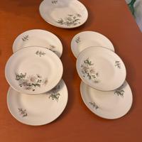 Servizio di piatti richard ginori da collezione