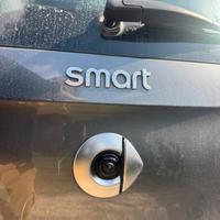 Telecamera smart 453