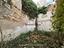 Immagine 7