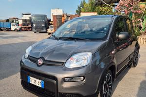 Fiat Panda Hybrid City Life