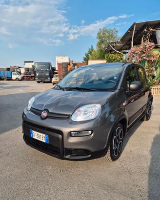Fiat Panda Hybrid City Life