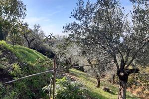 TER. RESIDENZIALE A POGGIO CATINO