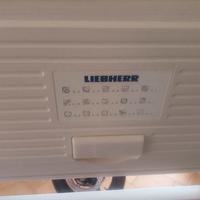 Freezer a pozzetto 