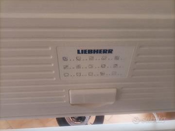 Freezer a pozzetto 