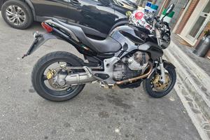 moto guzzi breva 1100