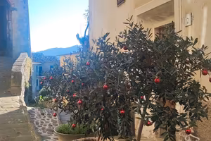 Casa San Quirico PT