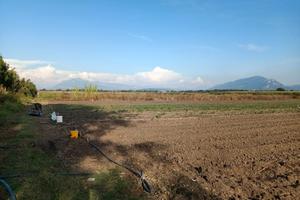 TERRENO AGRICOLO pianeggiante