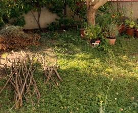 Cerco piccolo terreno a firenze