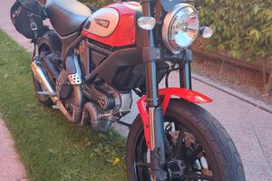 ducati scrambler 