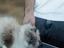 Immagine 5