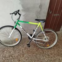 Bicicletta mtb da 24