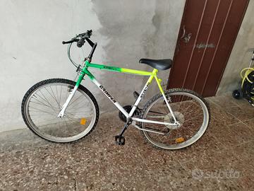 Bicicletta mtb da 24