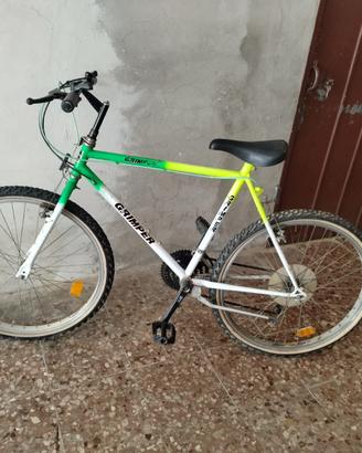 Bicicletta mtb da 24