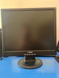 Monitor LCD 19 Pollici Olidata