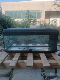 Acquario per pesci