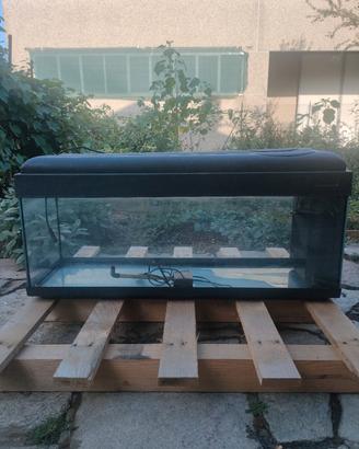 Acquario per pesci