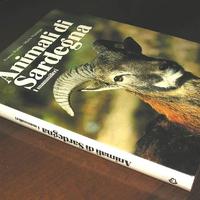 Puddu e Viarengo - ANIMALI DI SARDEGNA. MAMMIFERI