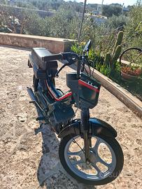  atala master 4 marce