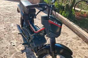  atala master 4 marce