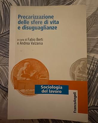 Precarizzazione delle sfere di vita e disuguaglian