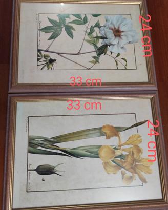 quadri di fiori 