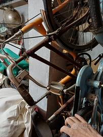 bici da donna e graziella 