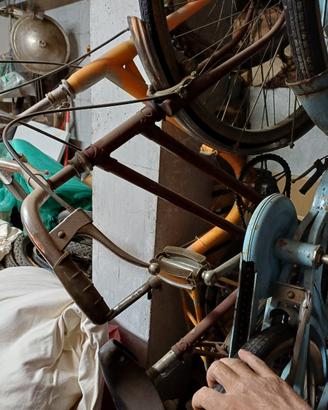 bici da donna e graziella 