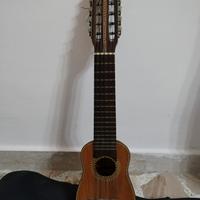 charango in armadillo