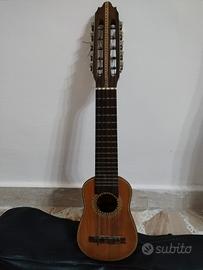 charango in armadillo