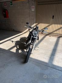 Sporster 883 custom