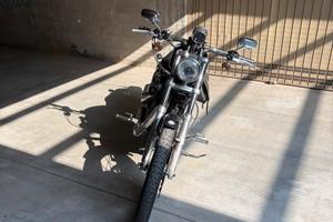 Sporster 883 custom
