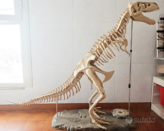 Modello dinosauro Tyrannosaurus Rex con fascicoli
