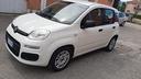 fiat-panda-1-2-easy-2016-neopatentati