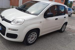 FIAT PANDA 1.2 Easy 2016 neopatentati