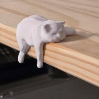 Gatto pigro simpatico grasso dorme su libreria