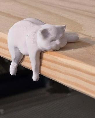 Gatto pigro simpatico grasso dorme su libreria
