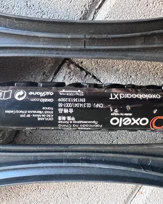 SKATEBOARD A DUE RUOTE