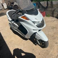 Majesty 250