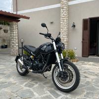 2023 Leoncino 500 Benelli