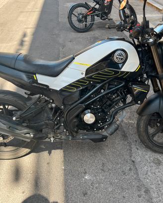 Benelli leoncino 125